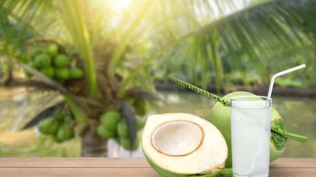 Coconut Water Benefits You Should Know Coconut Water
