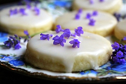 Delicious Foods